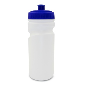 AX Sticlă sport 650 ml | Carter