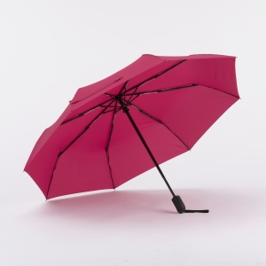 CO Cambridge umbrelă complet automată