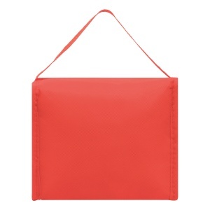 CELSIUS - Cooler bag - Img 10