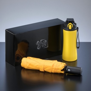 CO Primo Everyday Set: water bottle 550 ml & full automatic umbrella harvard