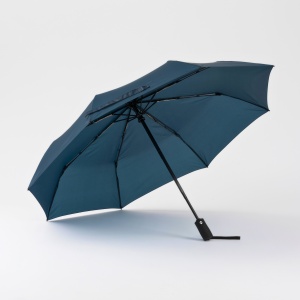 CO Primo Everyday Set: sticlă de apă 550 ml și umbrelă complet automată Harvard