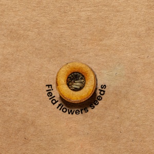 MAK Hakala - Seeds Folder Recycled Cardboard Wildflowers - Img 4