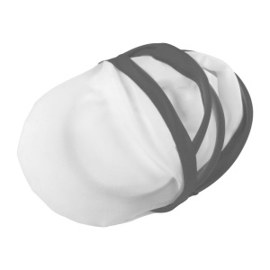 MC Frisbee