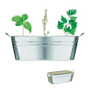 MO MIX SEEDS - Ghiveci din zinc cu semințe