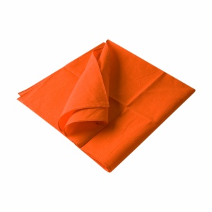 ON™ 100% cotton scarf/bandana