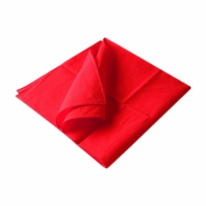 ON™ 100% cotton scarf/bandana