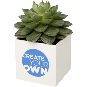 PF™ Hey Pots aluminium planted pot - succulent