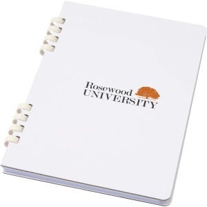 PF Stilou fontanel Waterman Hemisphere M