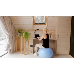 Royal Minge de gimnastică FITBALL pentru exerciții - Img 2