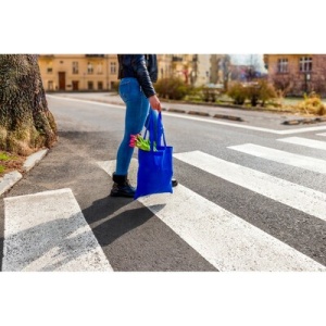 AX Sacoșă de cumpărături | Santrell