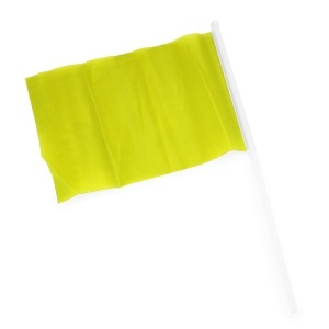 STA Celeb Flag - Img 2