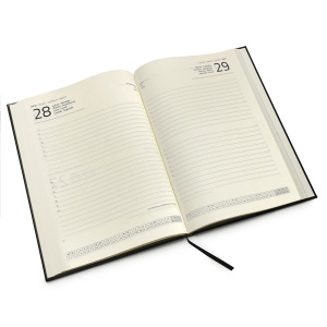 STA Daily Diary - Img 5