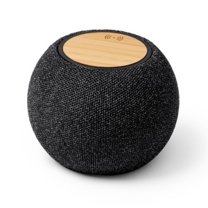 STA Speaker Bandini