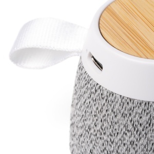 STA Speaker Monark - Img 5