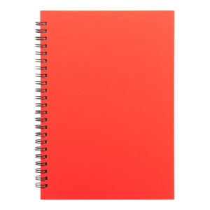 AP™ Blocnotes