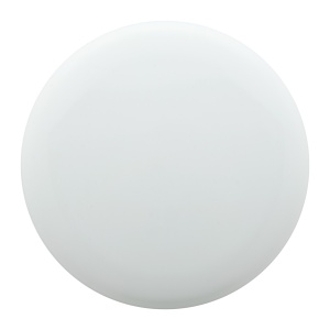 AP™ Frisbee