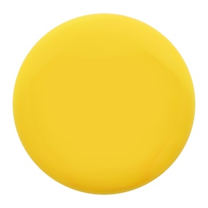AP™ Frisbee