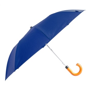 AP Dissem - RPET umbrella