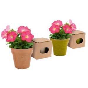 AX™ Flower pot, 5-8 petunia seeds and soil - Img 3