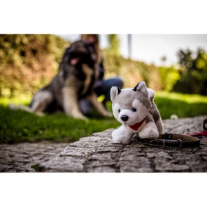 AX™ husky de pluș | Trooper - Img 3