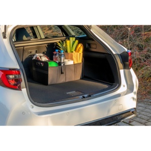 AX™ organizator auto pliabil | Reign - Img 1