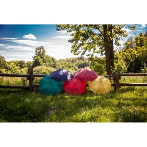 AX™ umbrelă automată | Hayden - Img 3