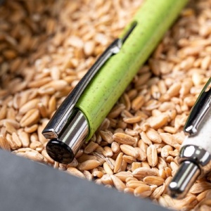 AX™ Wheat straw ball pen - Img 3