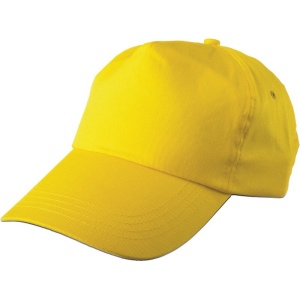 AX Capac