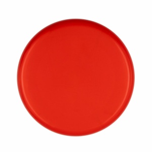 AX Frisbee | Eoan