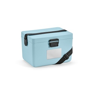 AO Ladă frigorifică Bangkok Cooler 12L din PP. Culori pastelate