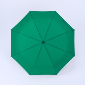 CO Cambridge umbrelă complet automată