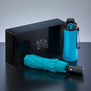 CO Primo Everyday Set: sticlă de apă 550 ml și umbrelă complet automată Harvard