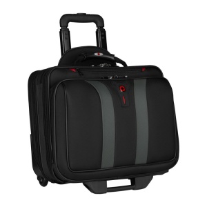 EA 17" Wheeled Computer Case