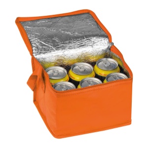EA Geantă frigorifică non-woven Nieby