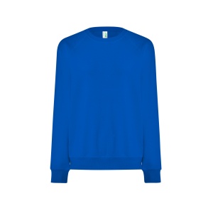 JHK™ SWEATSHIRT RAGLAN UNISEX