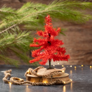 mak™ Christmas Tree Pines - Img 2
