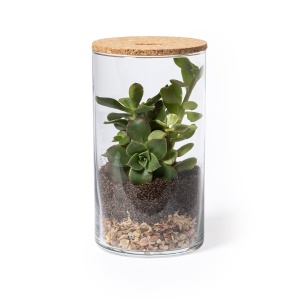 MAK Anymak - Terrarium - Img 2