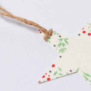 MAK Boster - Seeds Christmas Decoration - Img 6