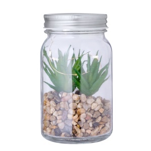 MAK Kyala - Plantă decorativă