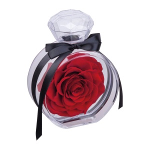 MC Preserved rose