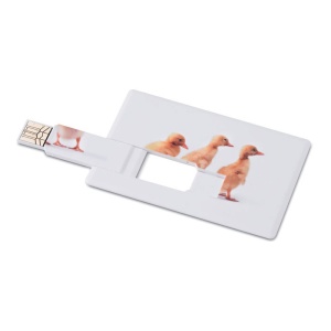 MO™ a Creditcard. USB flash 4GB