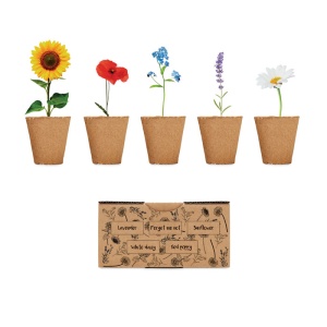 MO FLOWERS - Kit de creștere a florilor