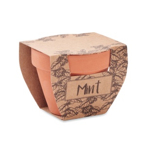 MO MINT POT - Semințe mentă în ghiveci de ter - Img 4