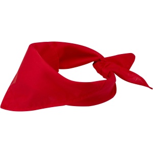 PF™ Heracles bandana
