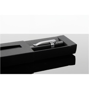 PF Lacăt inteligent cu amprentă SCX.design T11