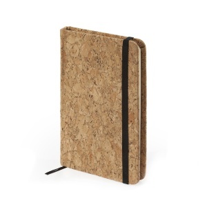 STA Cales Notebook