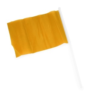 STA Celeb Flag - Img 9