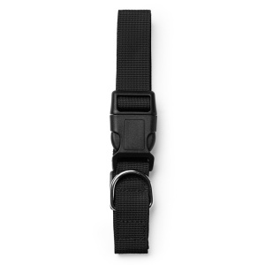 STA Dog Collar - Img 2