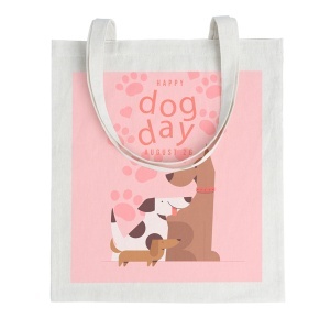 STA Geantă Miso