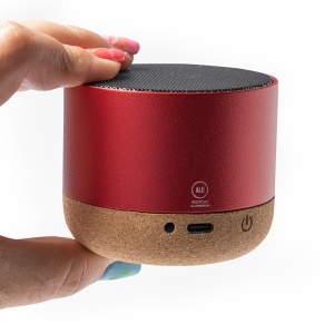 STA Speaker Voxel - Img 6